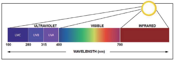 Spectrum